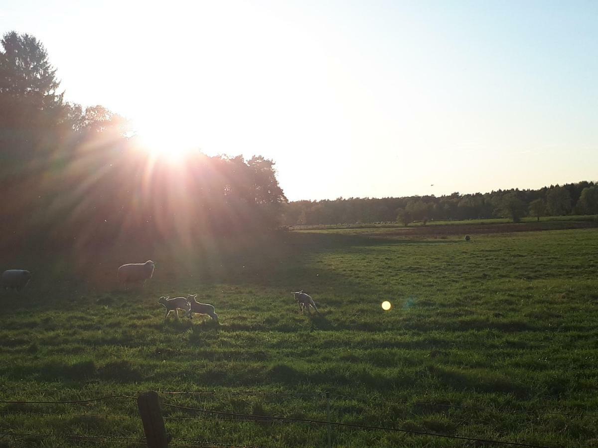 Schoene Komplette Ferienwohnung In Wesel فيسيل المظهر الخارجي الصورة